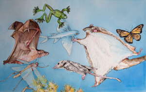 Flight. Michael Dugan. Coloured ink on paper. 38 cm x 25 cm. 1993 Flight. Michael Dugan. Coloured ink on paper. 38 cm x 25 cm. 1993