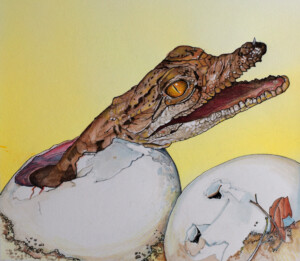 The Crocodile. Kath Hawke. Coloured ink on paper. 15 cm x 13.9 cm. 1993 The Crocodile. Kath Hawke. Coloured ink on paper. 15 cm x 13.9 cm. 1993