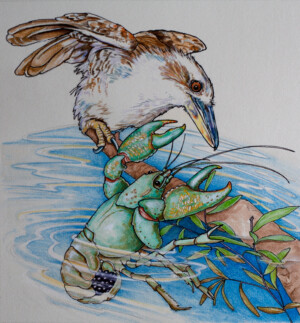 The Yabby. Kath Hawke. Coloured ink on paper. 15.3 cm x 16.9 cm. 1994 The Yabby. Kath Hawke. Coloured ink on paper. 15.3 cm x 16.9 cm. 1994