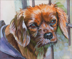 Bundy. Pastel drawing & acrylic paint on paper. 2024 Bundy. Pastel drawing & acrylic paint on paper. 2024