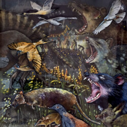 Quamby Bluff, a Place of Rest. Acrylic paint on wood & perspex. 42 cm x 36 cm x 6.5 cm. 2018 Quamby Bluff, a Place of Rest. Acrylic paint on wood & perspex. 42 cm x 36 cm x 6.5 cm. 2018