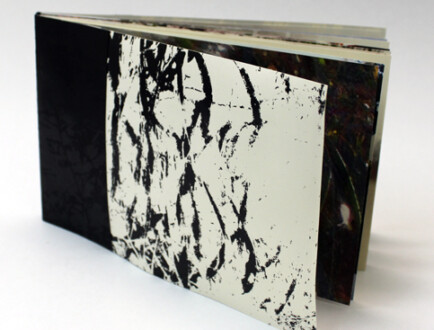 Handmade book. Cover. Digitally illustrated, printed and hand assembled. Pages? Size? Year? Handmade book. Cover. Digitally illustrated, printed and hand assembled. Pages? Size? Year?