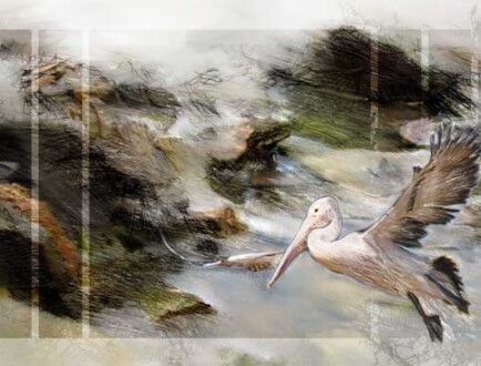 Handmade book. Internal pages. Handmade book. Internal pages.