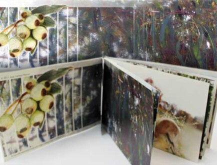 Handmade book. Internal pages. Handmade book. Internal pages.