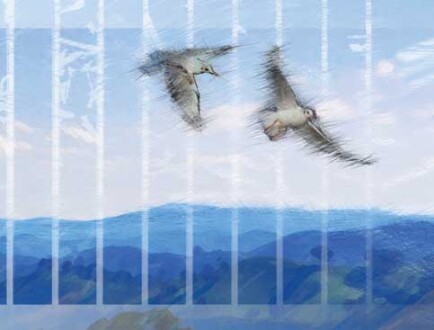 Handmade book. Internal pages. Handmade book. Internal pages.