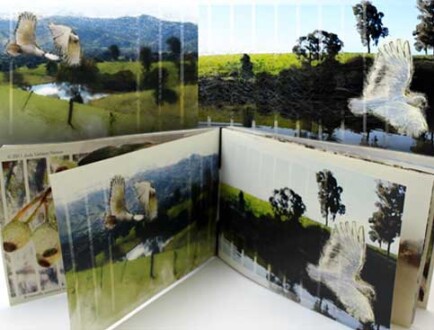 Handmade book. Internal pages. Handmade book. Internal pages.