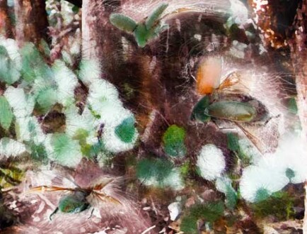 Handmade book. Internal pages. Handmade book. Internal pages.