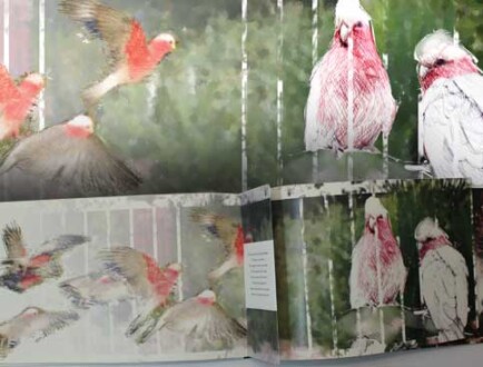 Handmade book. Internal pages. Handmade book. Internal pages.