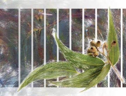 Handmade book. Internal pages. Handmade book. Internal pages.