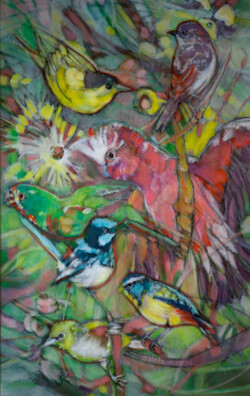 Galah & five birds. Acrylic on paper. 31 cm x 48.5 cm. 2024 Galah & five birds. Acrylic on paper. 31 cm x 48.5 cm. 2024